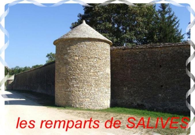 Le Puits Fortifie Salives Exterior photo